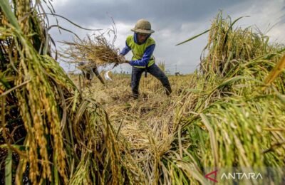 Kekuatan ekonomi Indonesia terus menguat lewat demografi, hilirisasi nikel, infrastruktur, dan digitalisasi menuju panggung global.
