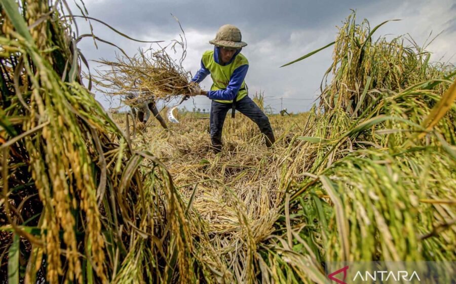 Kekuatan ekonomi Indonesia terus menguat lewat demografi, hilirisasi nikel, infrastruktur, dan digitalisasi menuju panggung global.